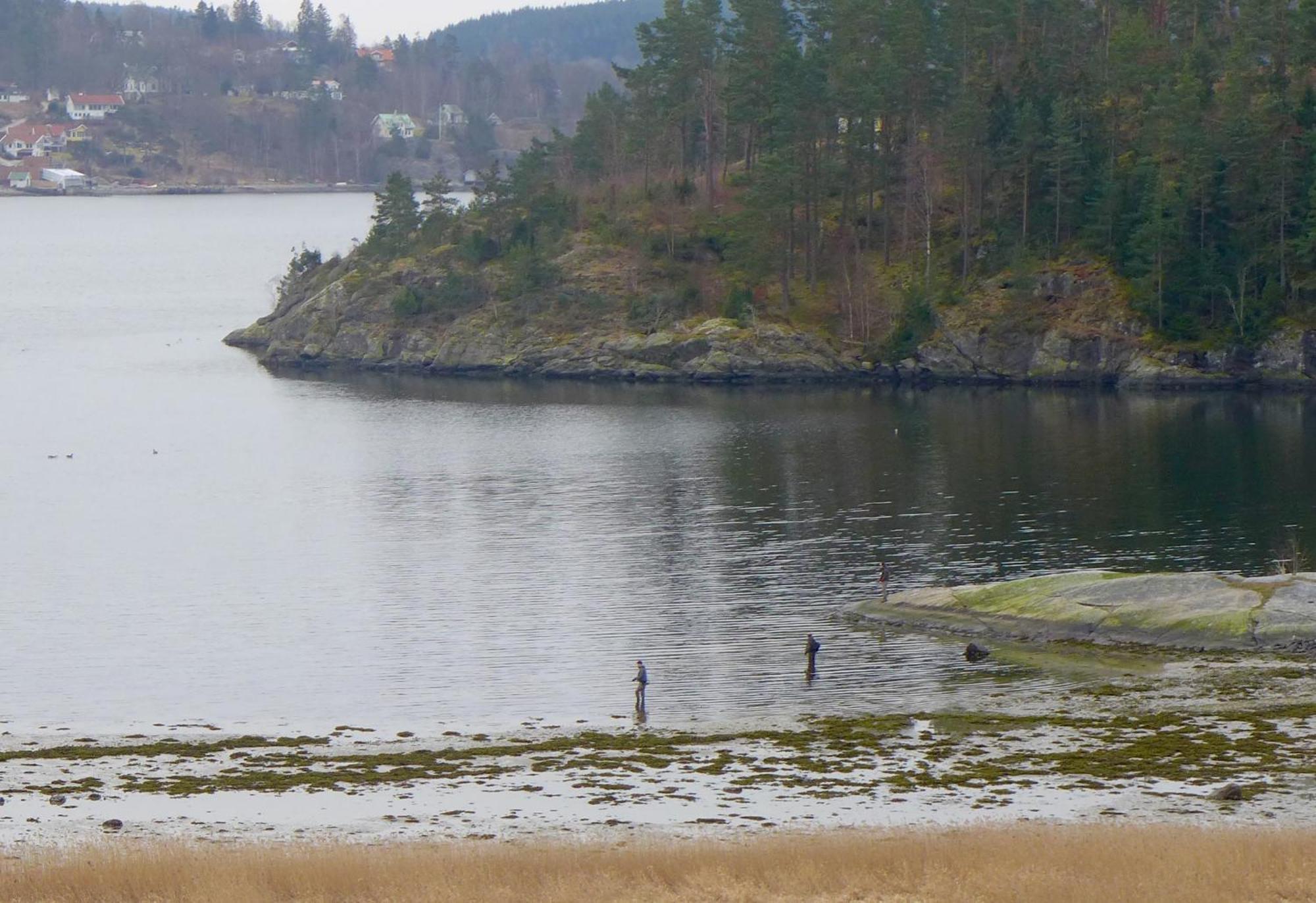Riddarhuset Villa Ljungskile Buitenkant foto